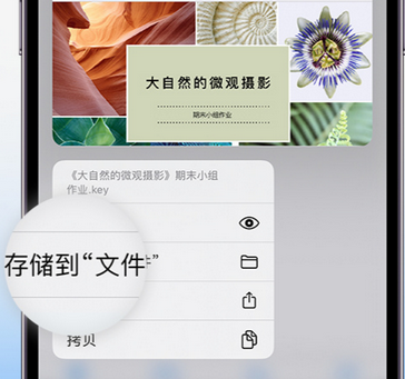 香格里拉apple维修中心分享iPhone文件应用中存储和找到下载文件