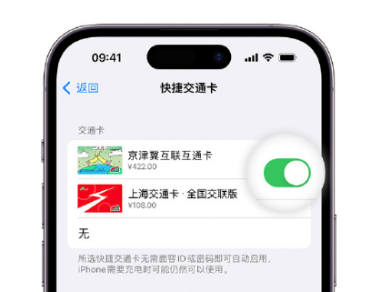 香格里拉apple维修点分享iPhone上更换Apple Pay快捷交通卡手绘卡面 