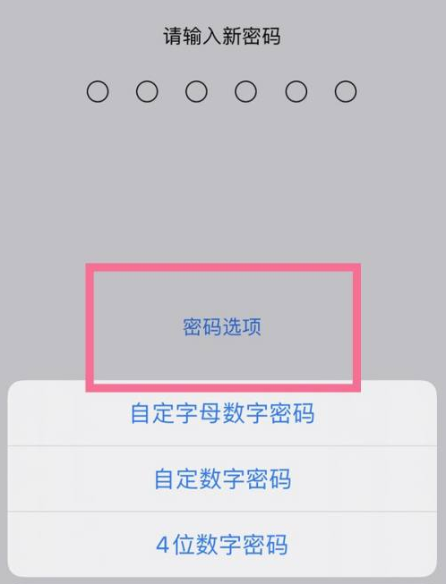 香格里拉苹果14维修分享iPhone 14plus设置密码的方法 