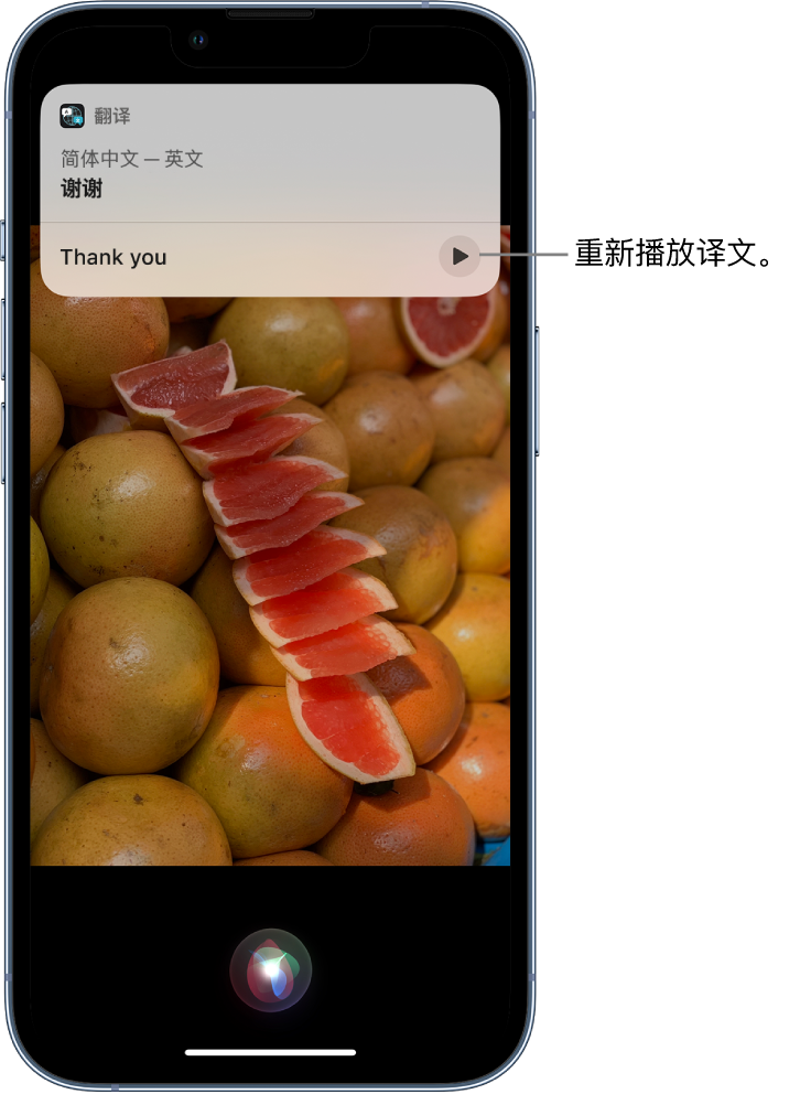 香格里拉苹果14维修分享 iPhone 14 机型中使用 Siri：了解 Siri 能帮你做什么 